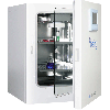 Being Bio-150 Air Jacketed CO2 Incubator 5.5 Cu Ft. (155 Liters) — importado a Venezuela por EDM Suministros